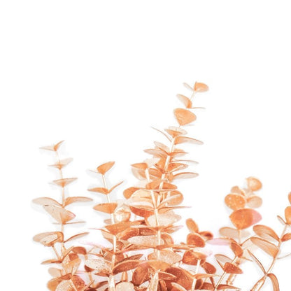 HV Golden Eucalyptus Bush Polysterene (25x20x40 cm)