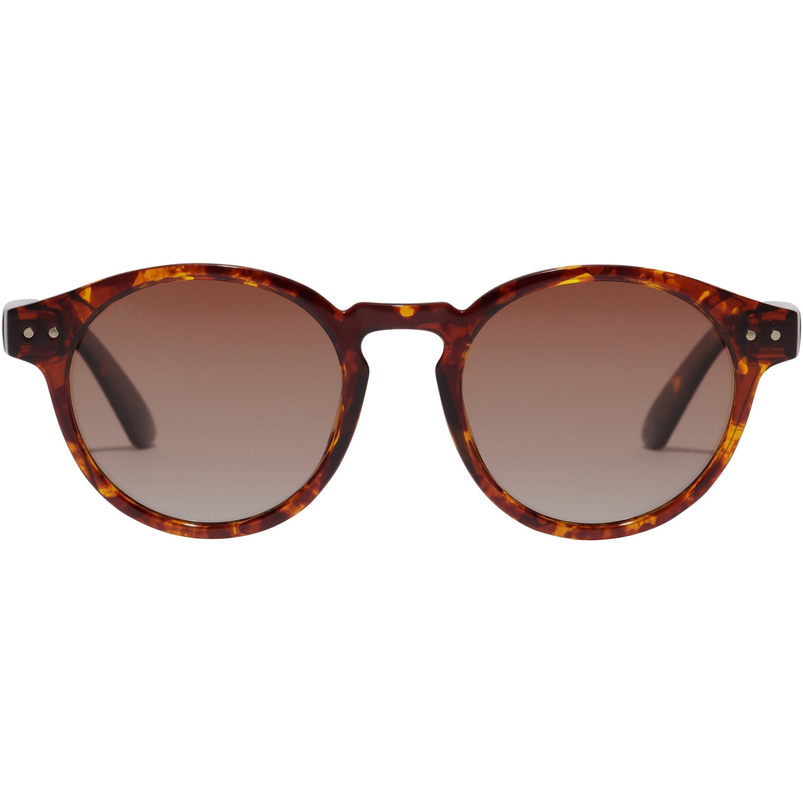 KYRIE Sonnenbrille Schildpatt-Braun/Gold